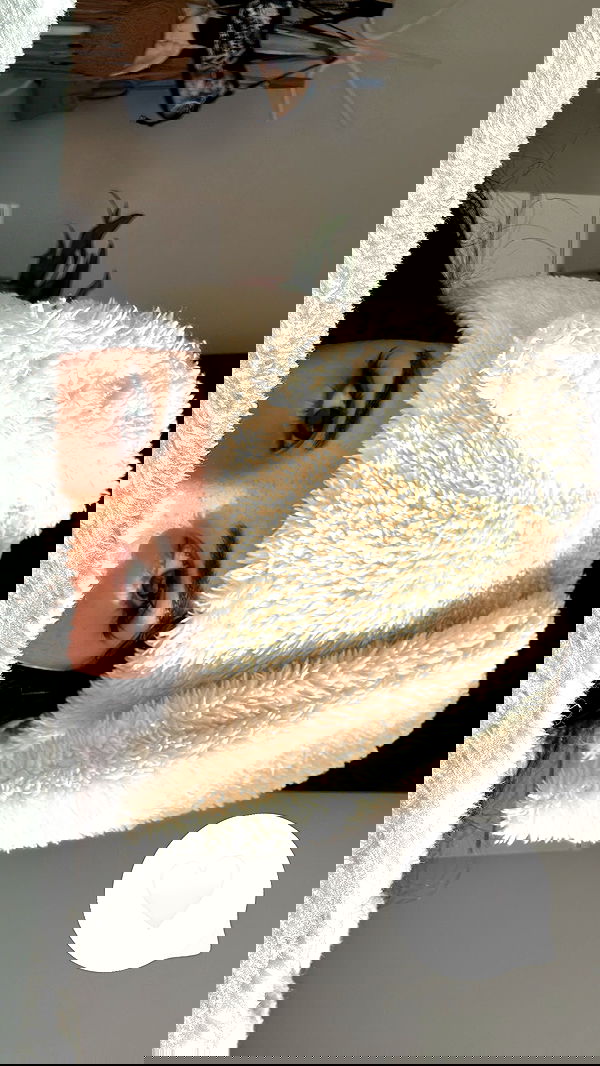 shunli__mei image ~ Altpins