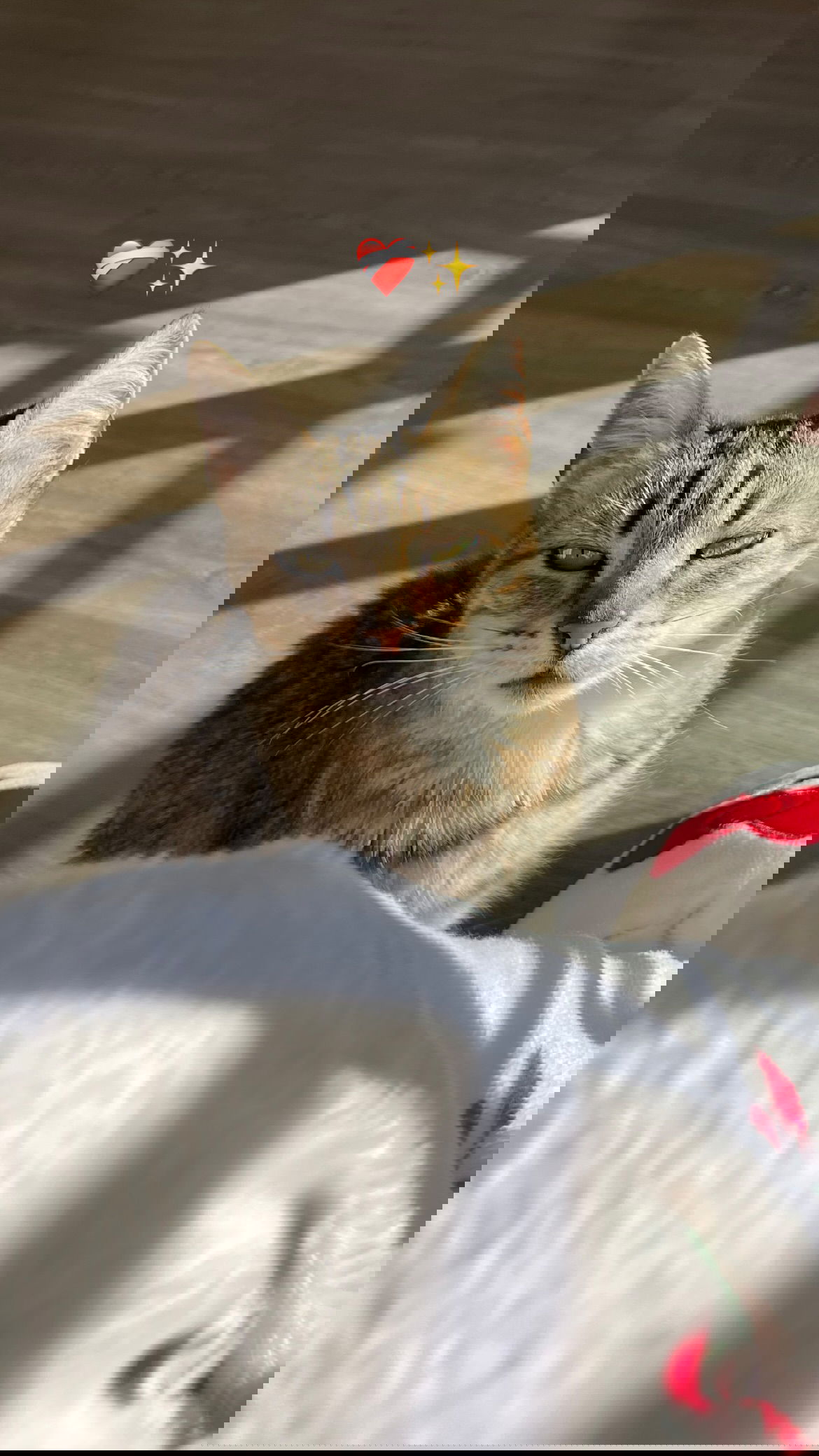 shunli__mei instagram image archive image