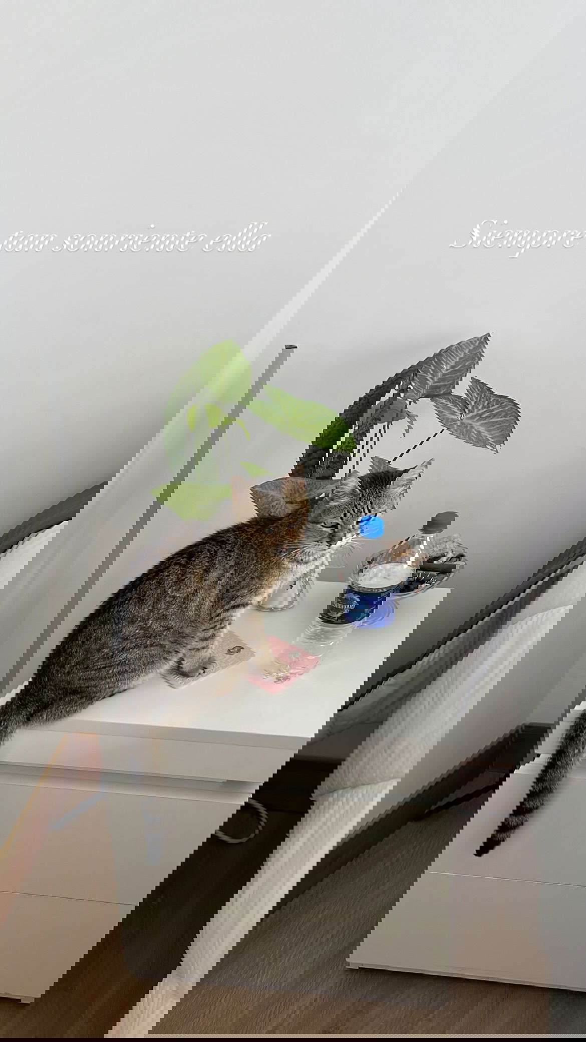 shunli__mei instagram image archive image