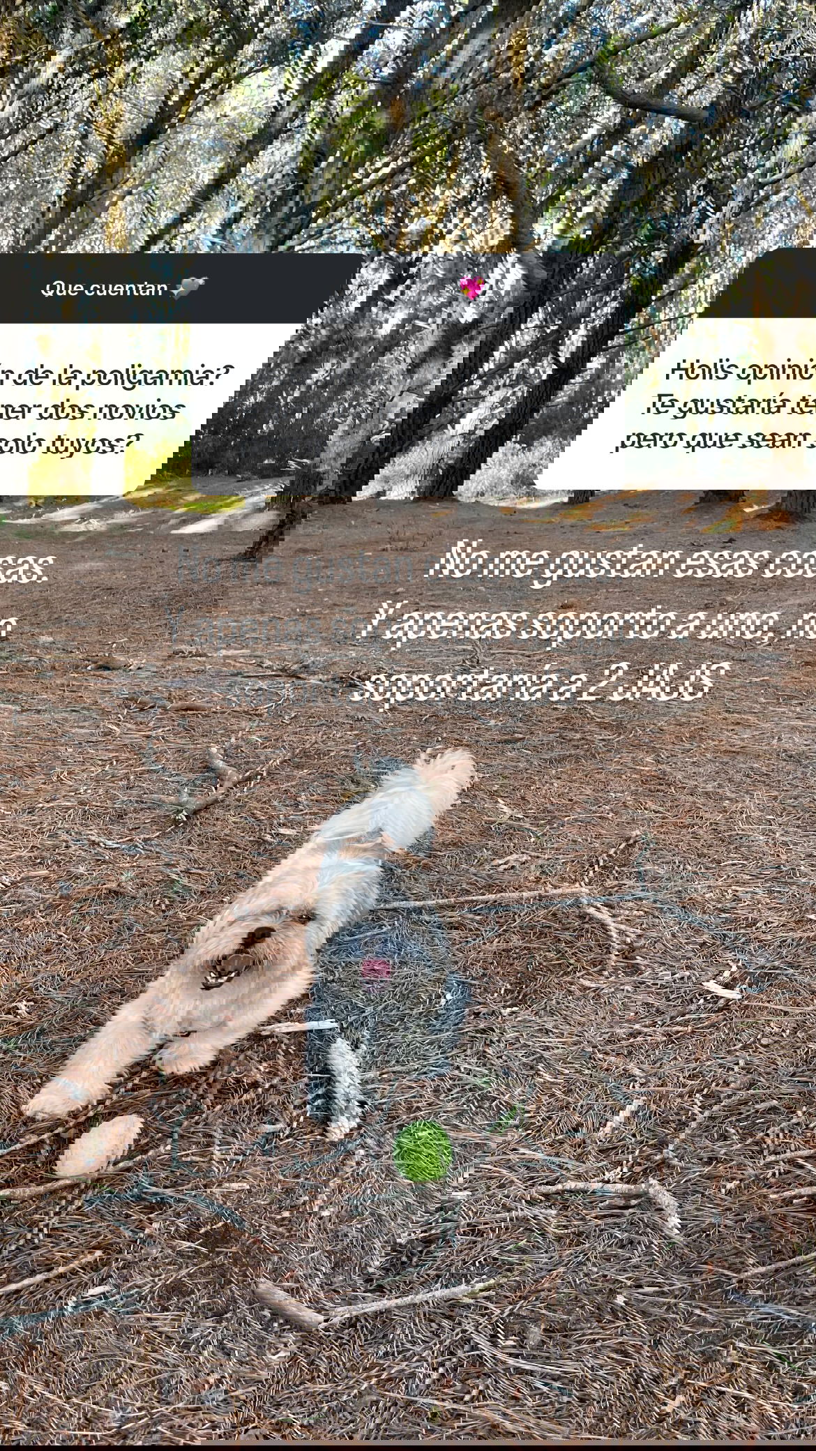 shunli__mei instagram image archive image