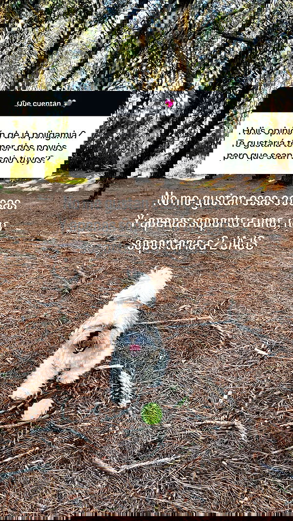 shunli__mei image ~ Altpins