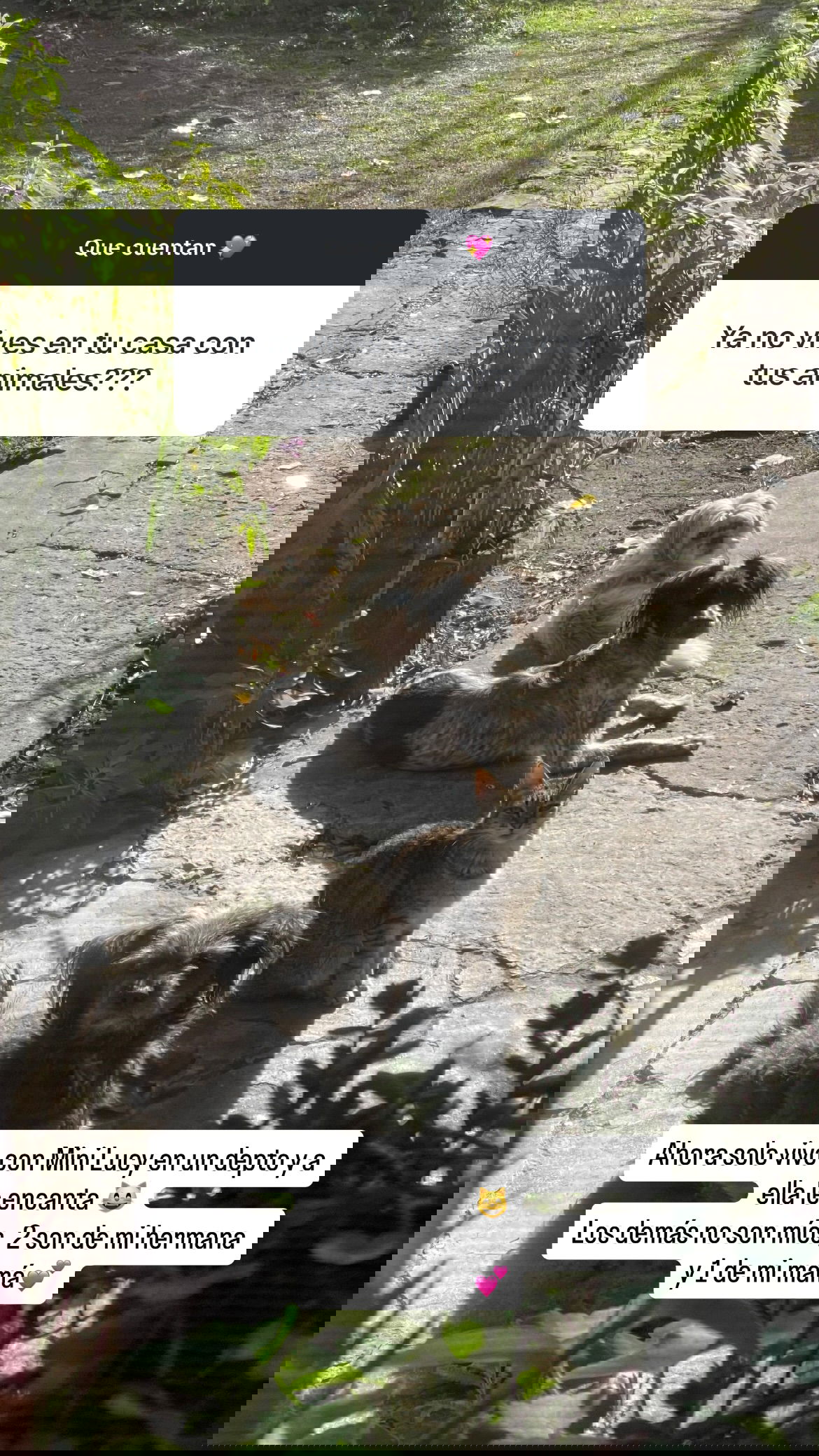 shunli__mei instagram image archive image