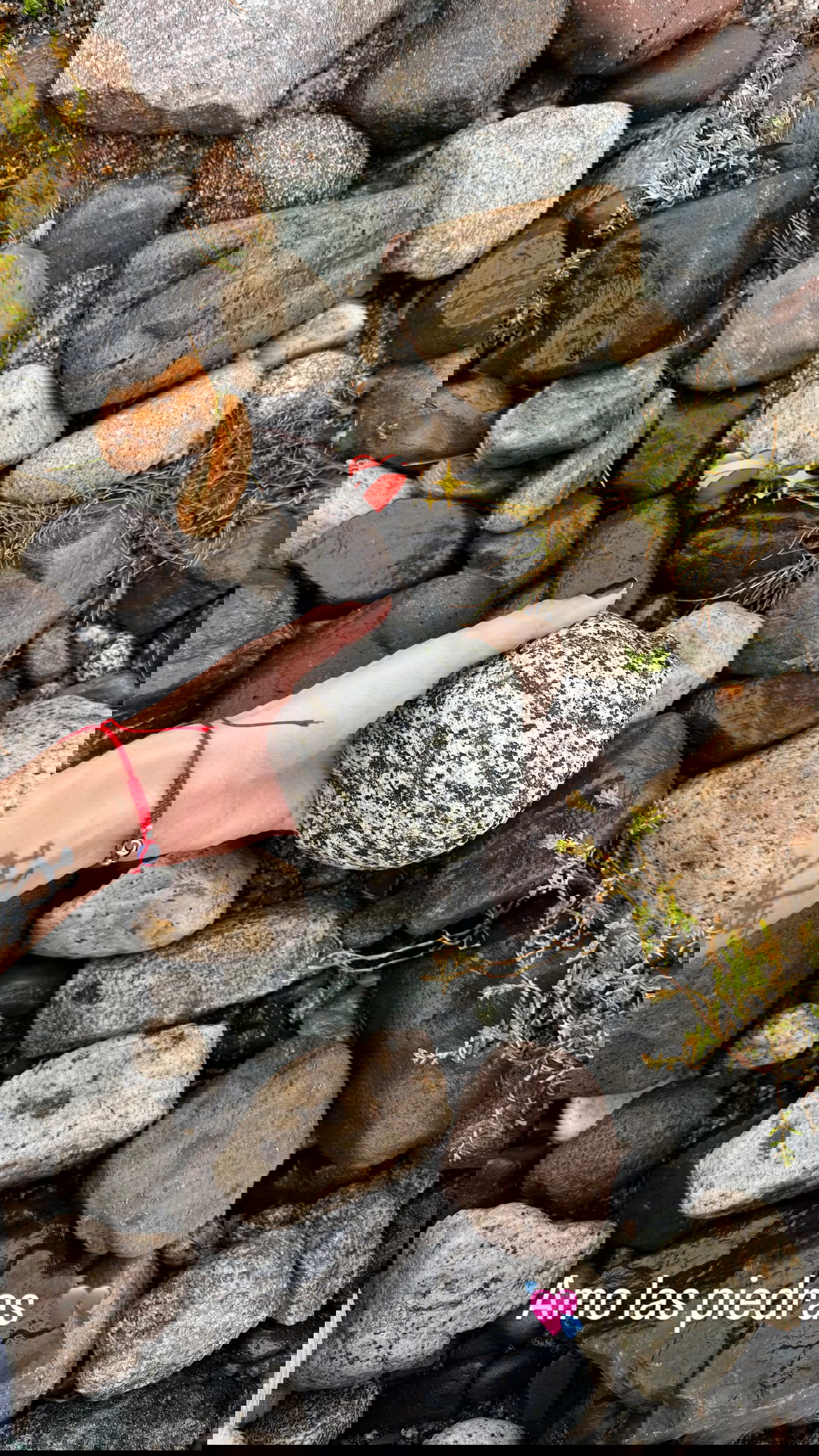 shunli__mei instagram image archive image