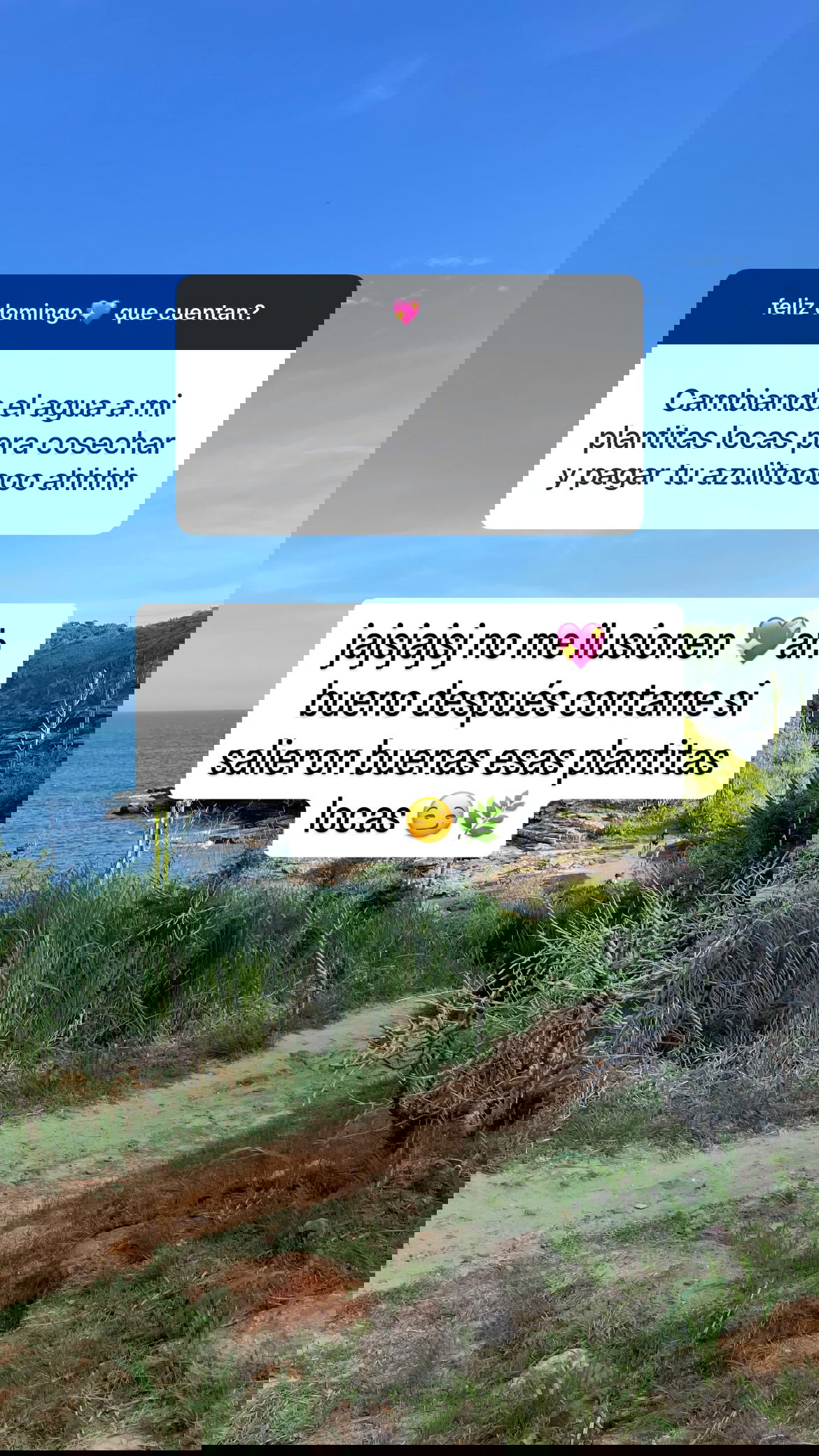 shunli__mei instagram image archive image