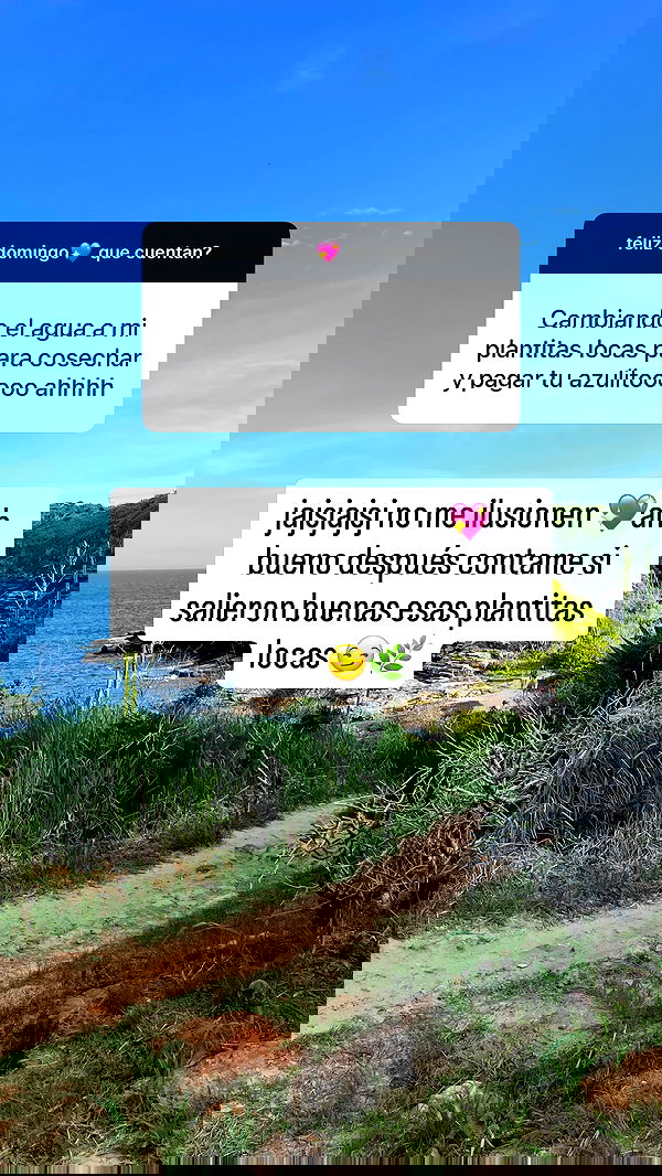 shunli__mei image ~ Altpins