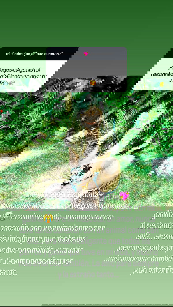 shunli__mei image ~ Altpins