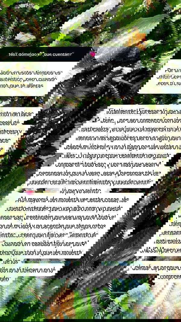 shunli__mei image ~ Altpins