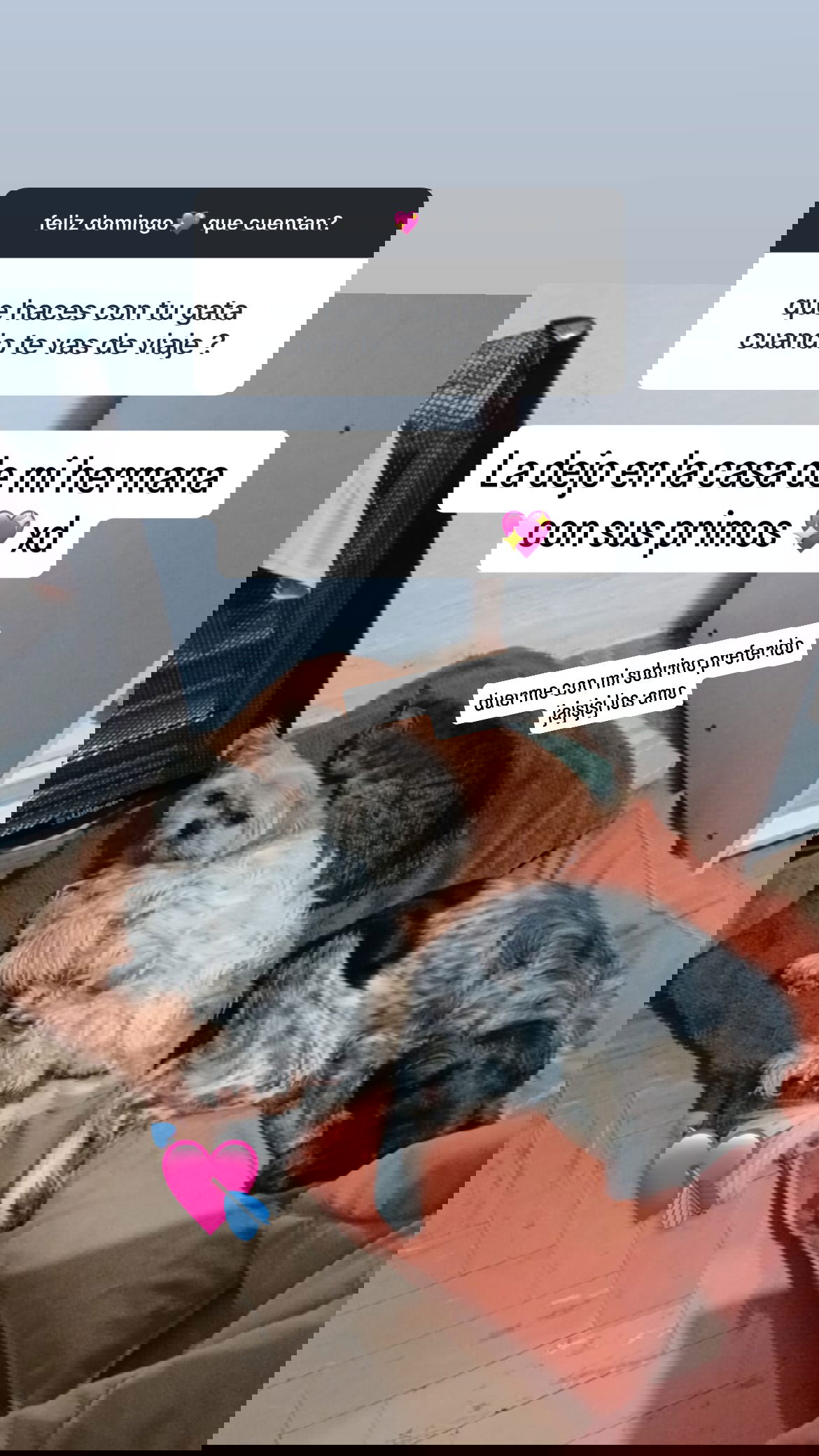 shunli__mei instagram image archive image