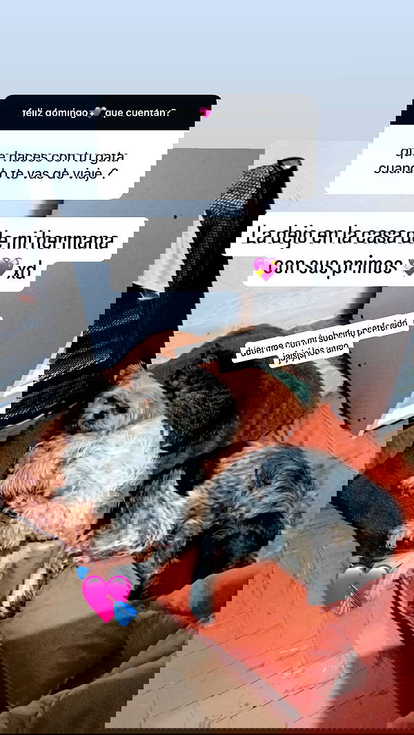 shunli__mei image ~ Altpins