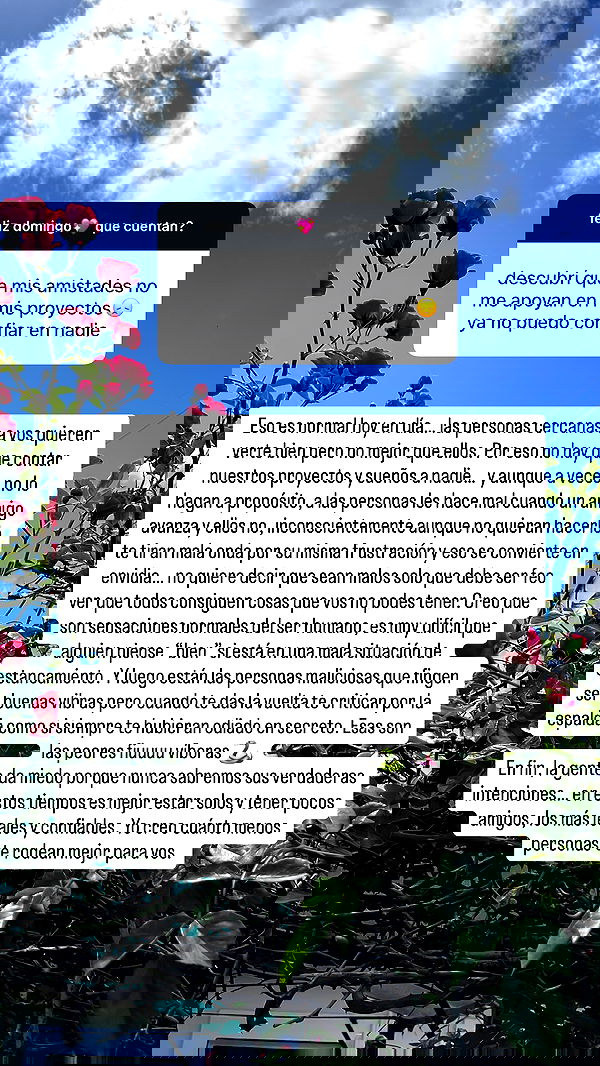 shunli__mei image ~ Altpins