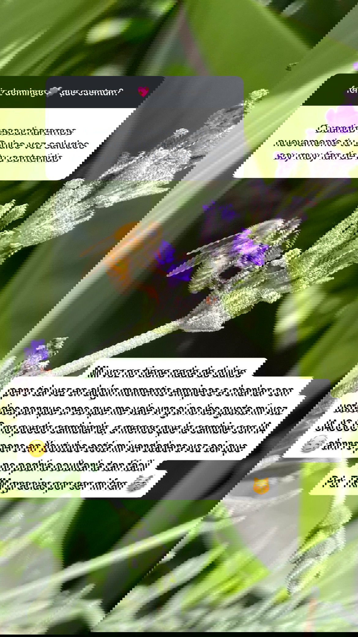 shunli__mei instagram image archive image