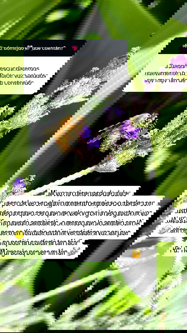 shunli__mei image ~ Altpins