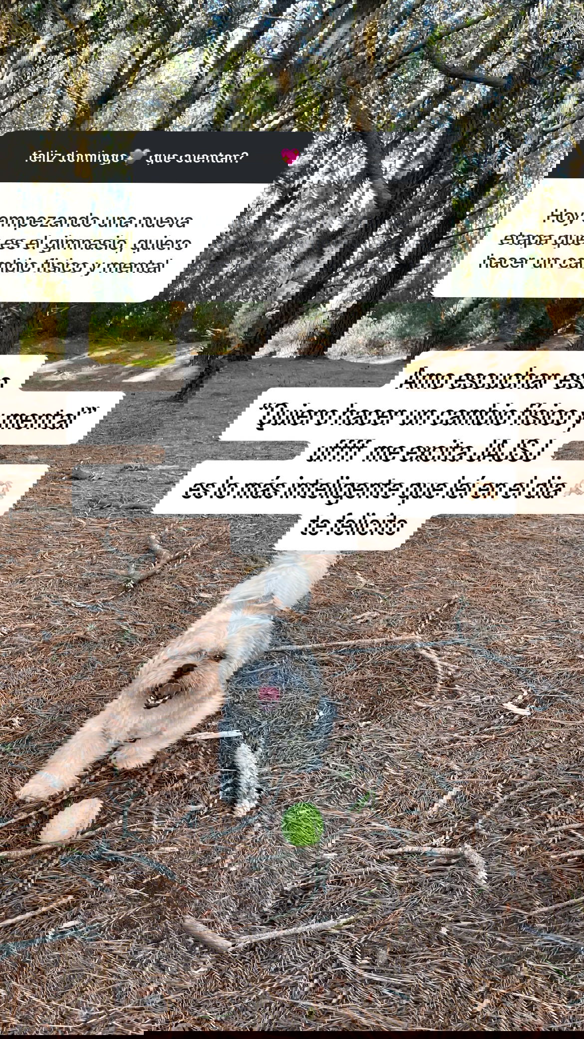 shunli__mei instagram image archive image