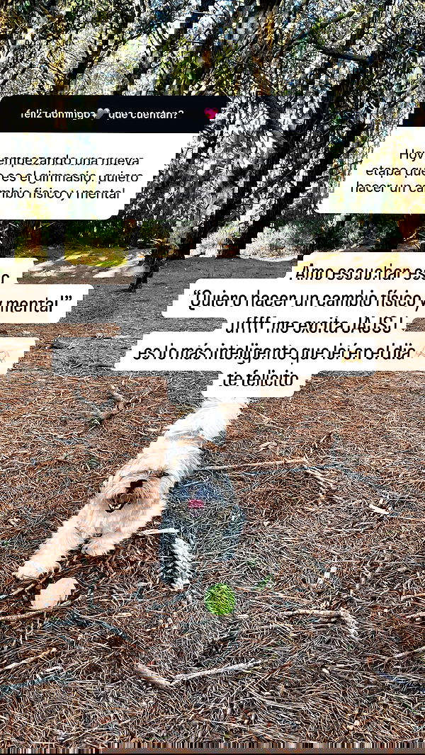 shunli__mei image ~ Altpins