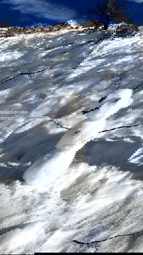 shunli__mei image ~ Altpins