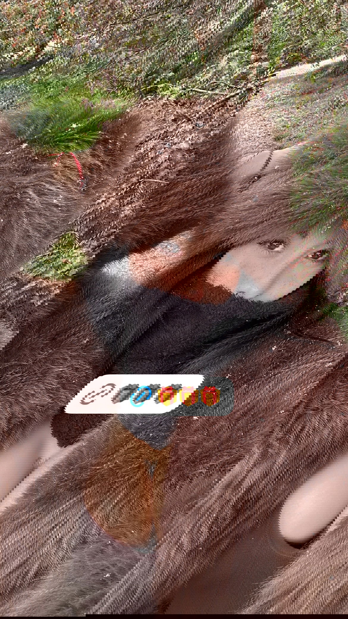 shunli__mei instagram image archive image