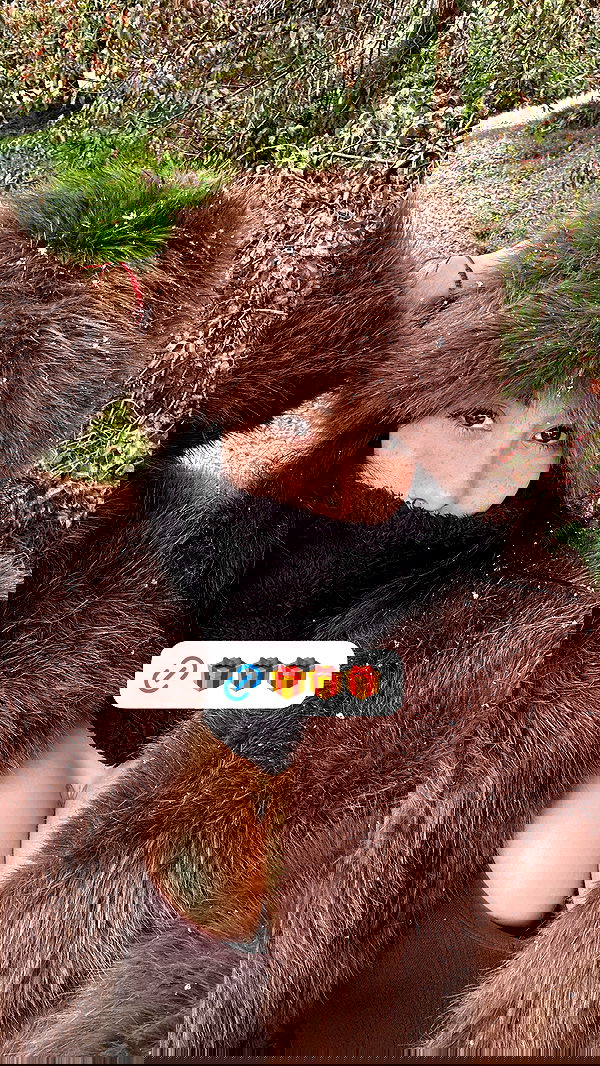 shunli__mei image ~ Altpins