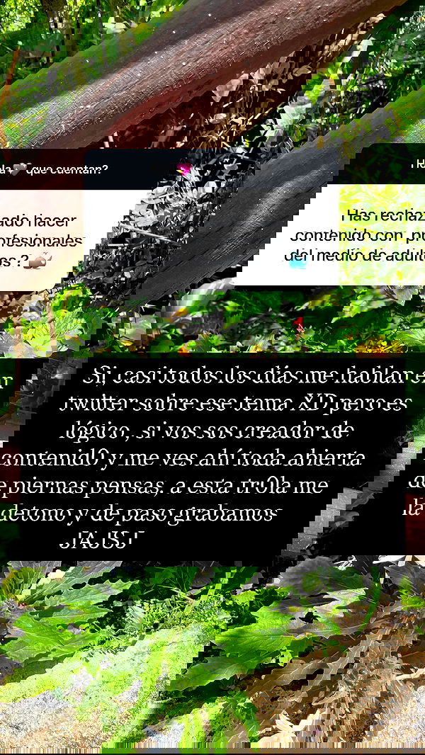 shunli__mei image ~ Altpins