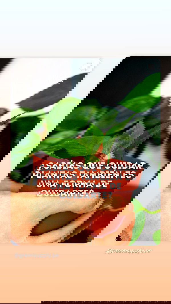 shunli__mei image ~ Altpins