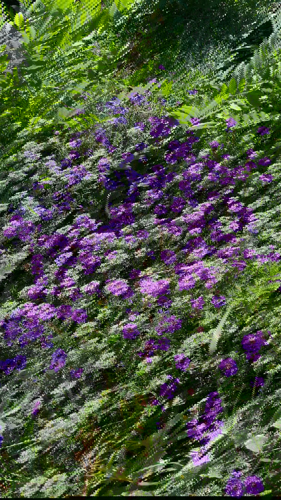 shunli__mei instagram image archive image