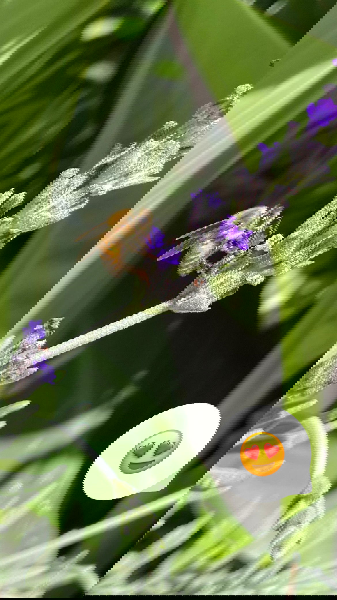 shunli__mei instagram image archive image