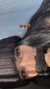 shunli_mei22 Altpins Profile Picture
