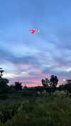 shunli_mei22 Altpins Profile Picture