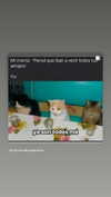 shunli_mei22 Altpins Profile Picture