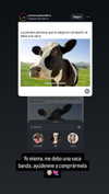 shunli_mei22 Altpins Profile Picture