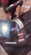 siel_pinto Altpins Profile Picture