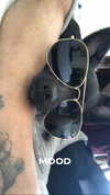 siel_pinto Altpins Profile Picture