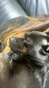 siel_pinto Altpins Profile Picture