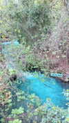 siel_pinto Altpins Profile Picture