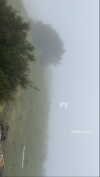 siel_pinto Altpins Profile Picture