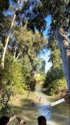 siel_pinto Altpins Profile Picture