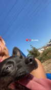 siel_pinto Altpins Profile Picture