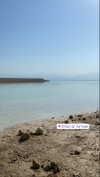 siel_pinto Altpins Profile Picture