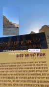 siel_pinto Altpins Profile Picture