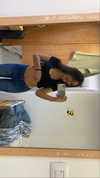 siel_pinto Altpins Profile Picture