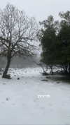 siel_pinto Altpins Profile Picture