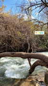 siel_pinto Altpins Profile Picture