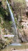 siel_pinto Altpins Profile Picture