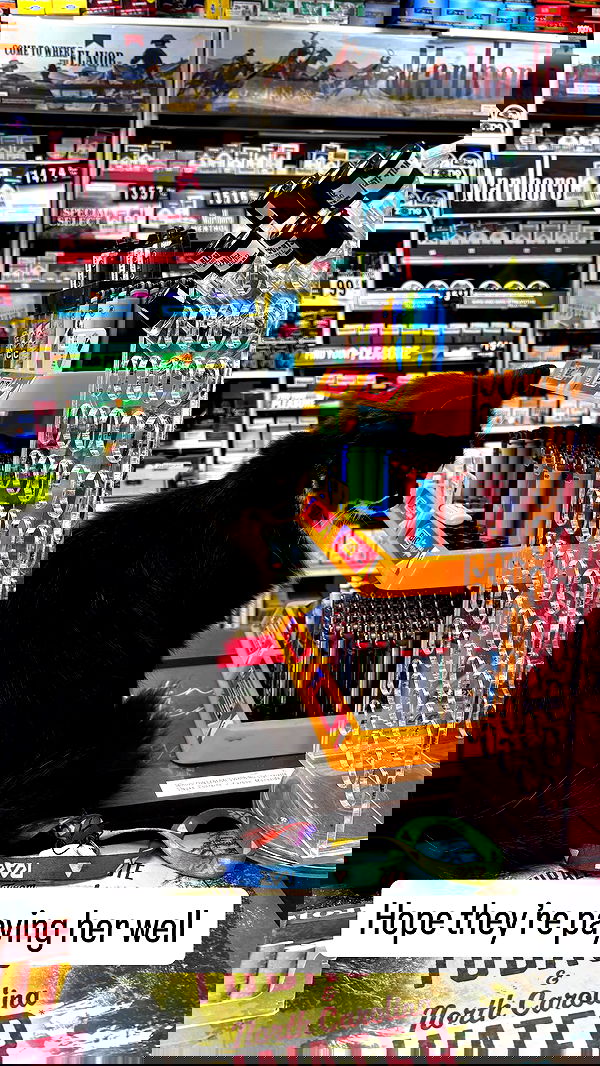 sightthefae image ~ Altpins