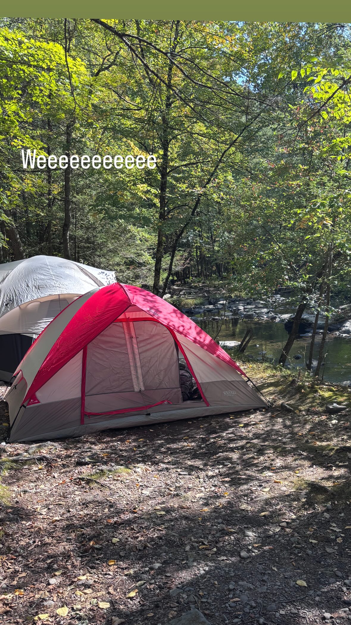 sightthefae instagram image archive image