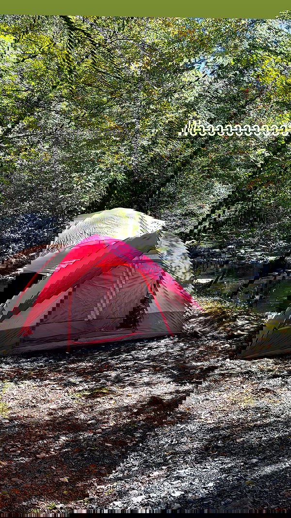 sightthefae image ~ Altpins