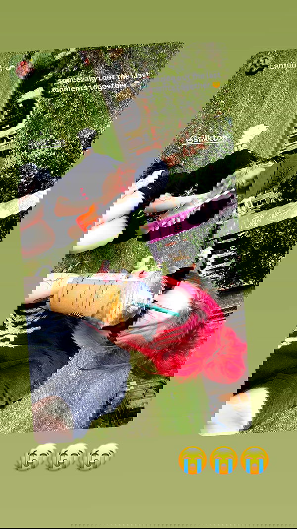 silkton image ~ Altpins