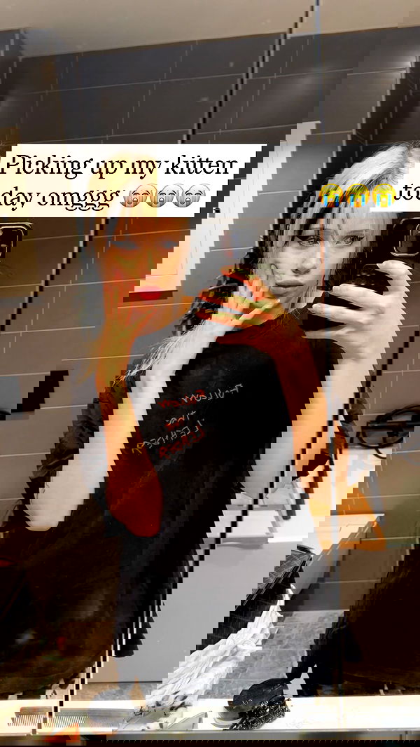 silkton image ~ Altpins