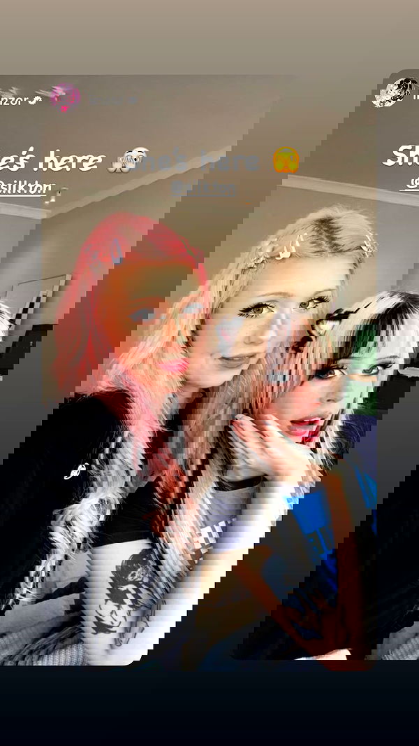 silkton image ~ Altpins