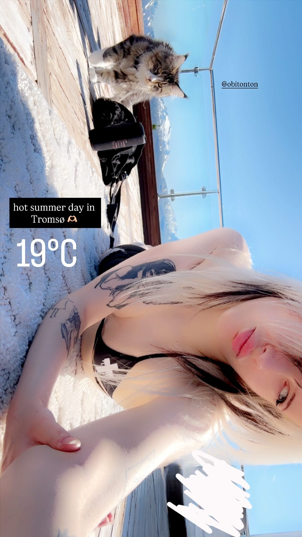 silkton instagram image archive image