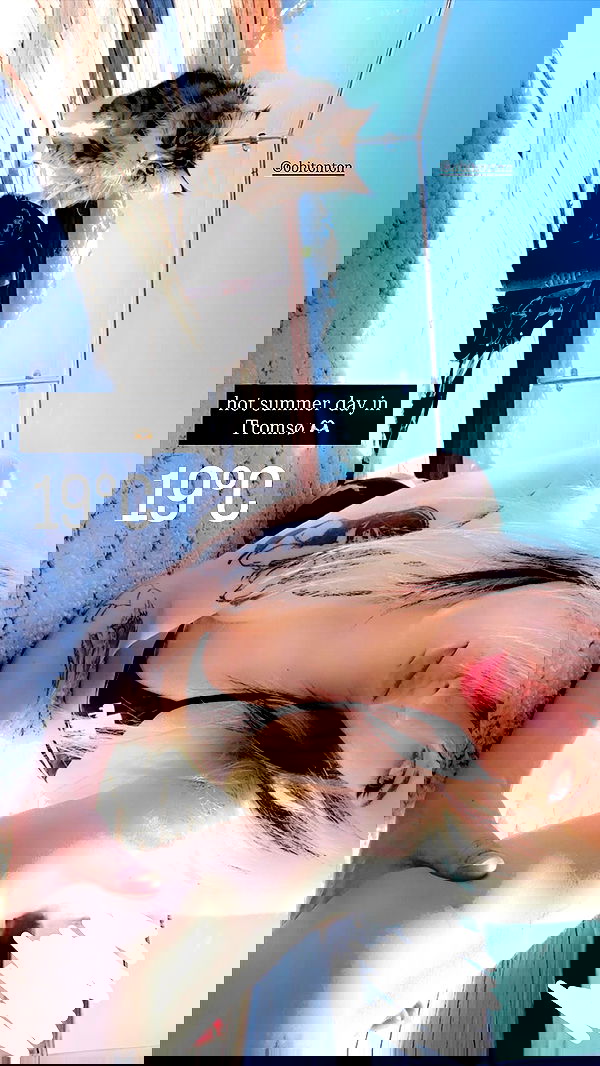 silkton image ~ Altpins